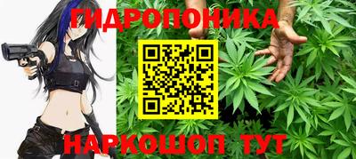 шишки Ликино-Дулёво