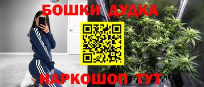 молекула духа Лесосибирск