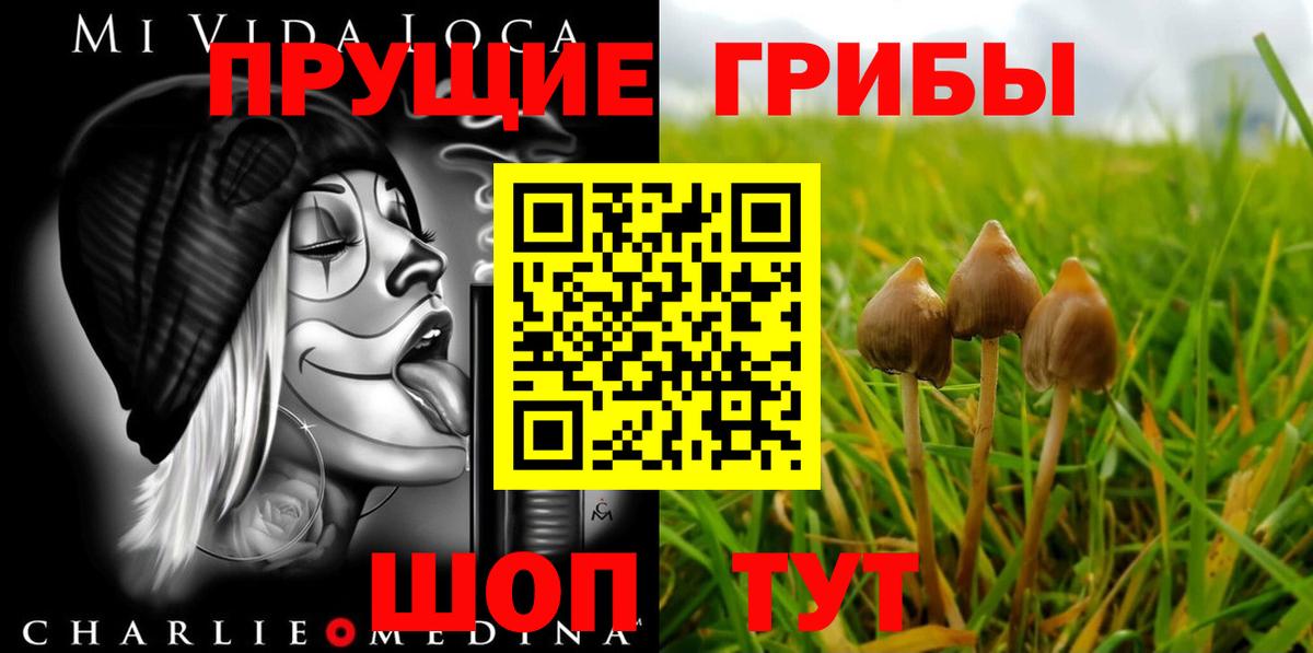 Галлюциногенные грибы Psilocybe  Вход с VPN  Павлово 